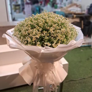 ช่อดอกเดซีใหญ่