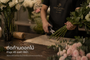 วิธีดูแลดอกไม้สดให้สวยทนนาน ในอากาศร้อนชื้นแบบชลบุรี